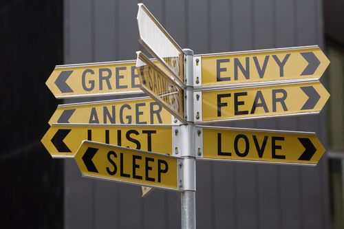 How Emotions Work